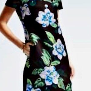 Banana Republic Floral Shift Dress - Size 6